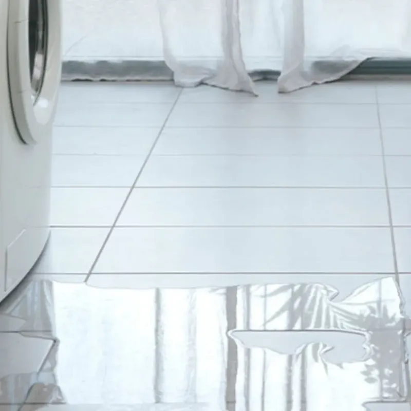 Appliance Leak Cleanup in Geneva, IN
