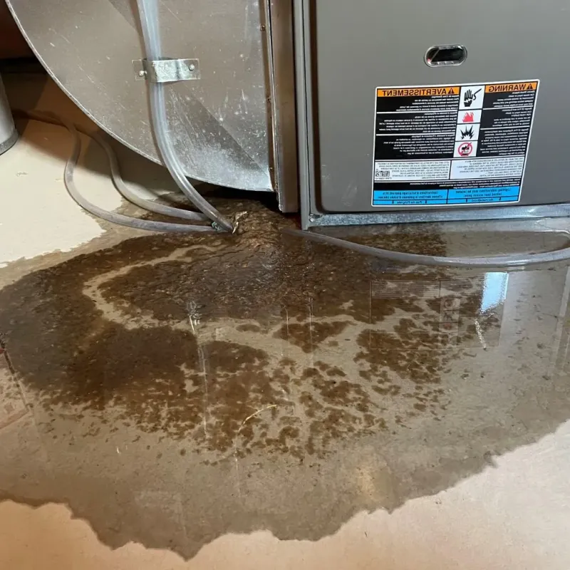 Pipe Burst and Leak Restoration in Geneva, IN
